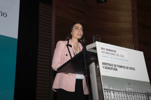 CEIA-XVIICongreso-0017